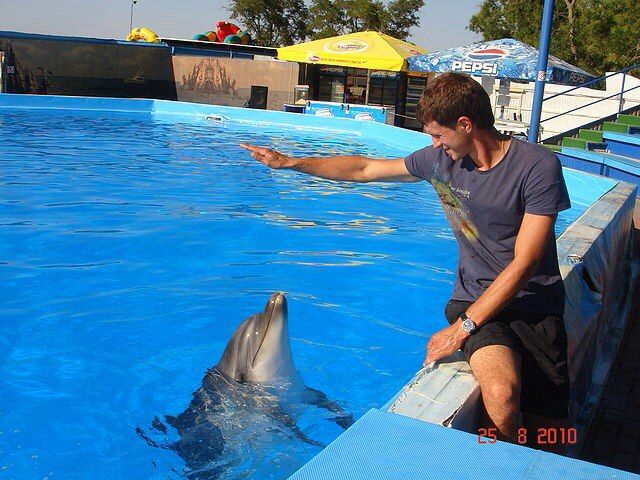 Гринько Павел - Пекарь Кондитер